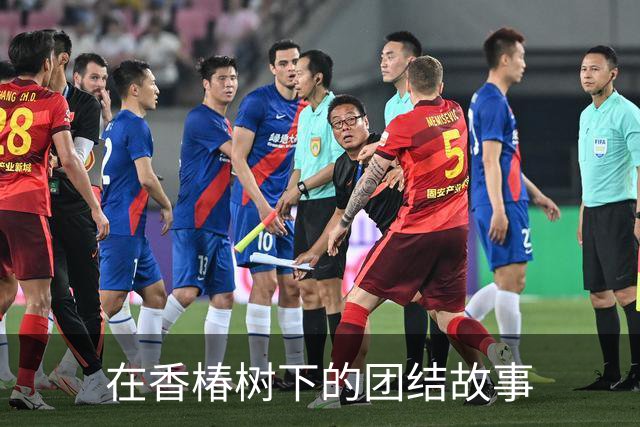 在香椿树下的团结故事